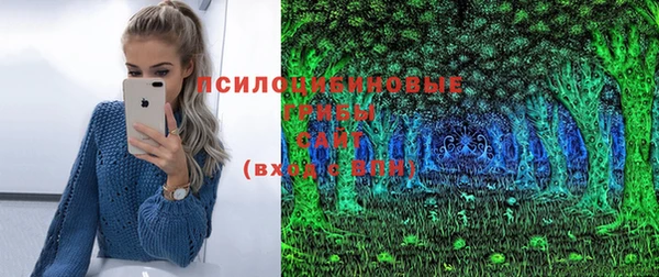 спайс Алексеевка