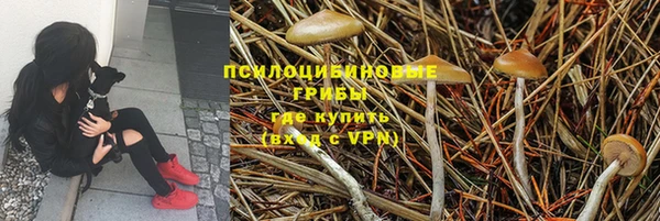 спайс Алексеевка