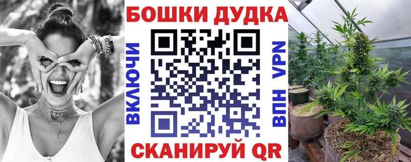 Конопля MAZAR  Сенгилей 